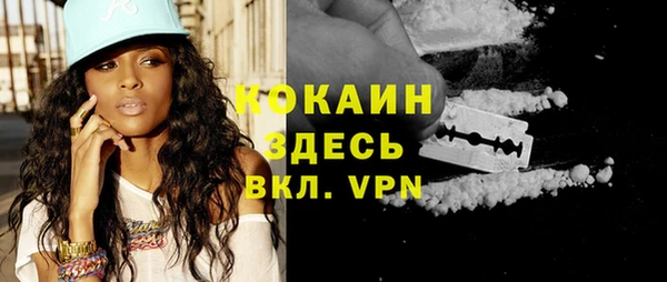 крисы Магадан