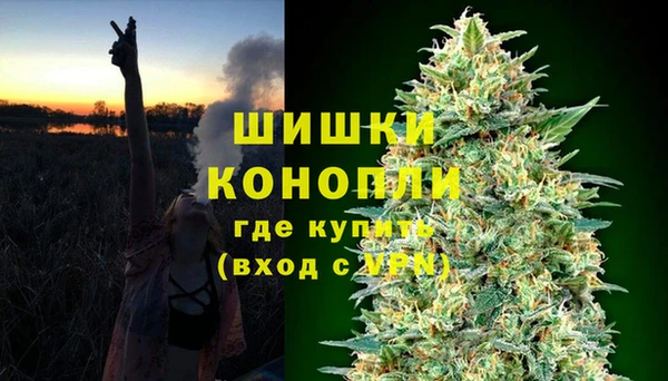 шишки Лиски