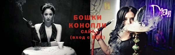 сатива Лихославль
