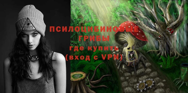 сатива Лихославль