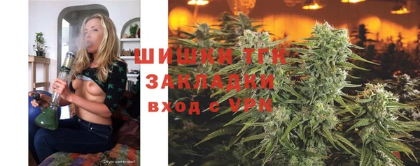сатива Лихославль