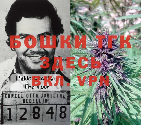 крисы Магадан