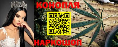 гашик Апрелевка