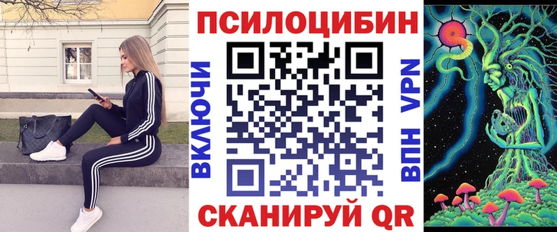 хочу наркоту  Владивосток  Галлюциногенные грибы GOLDEN TEACHER 