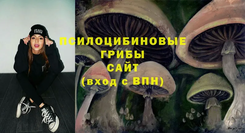 Псилоцибиновые грибы Cubensis  OMG   даркнет телеграм  Владивосток 