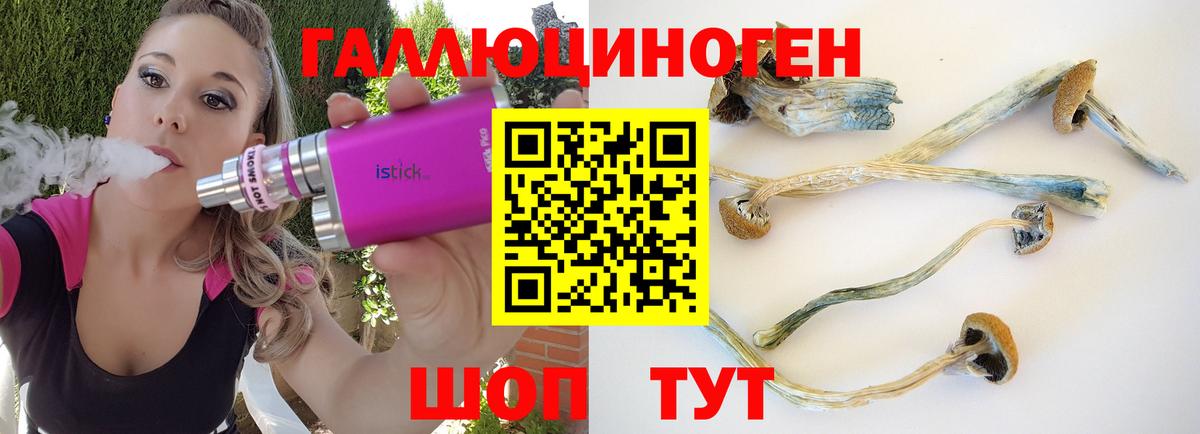 Псилоцибиновые грибы мухоморы Владивосток