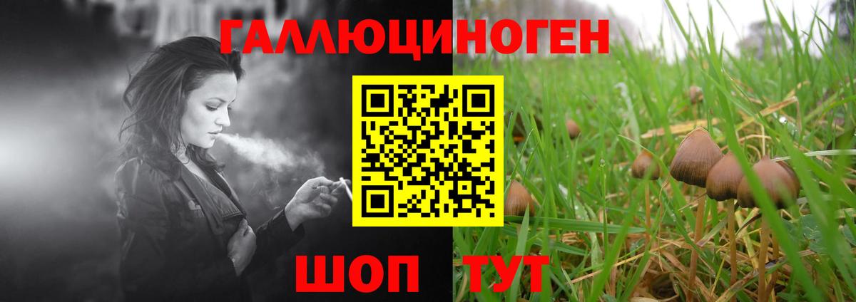 Владивосток  Галлюциногенные грибы мухоморы  Псилоцибиновые грибы GOLDEN TEACHER  Вход с VPN 