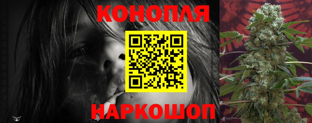 Канабис семена  Шишки марихуана White Widow  Владивосток 